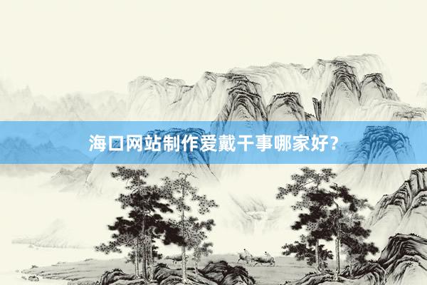 海口网站制作爱戴干事哪家好？